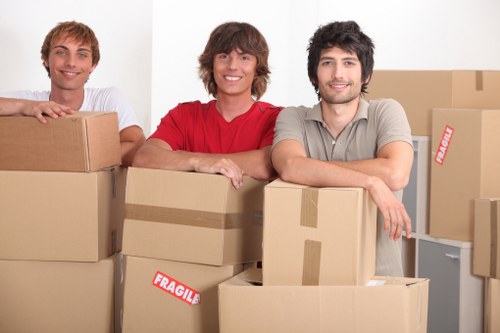 Professional transport of furniture and boxes